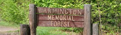 farmington memorial town forest